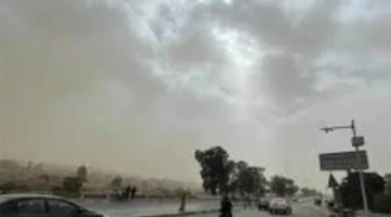 ارتفاع تدريجي للحرارة.. الأرصاد الجوية توضح فرص سقوط الأمطار وموعد تحسن الطقس